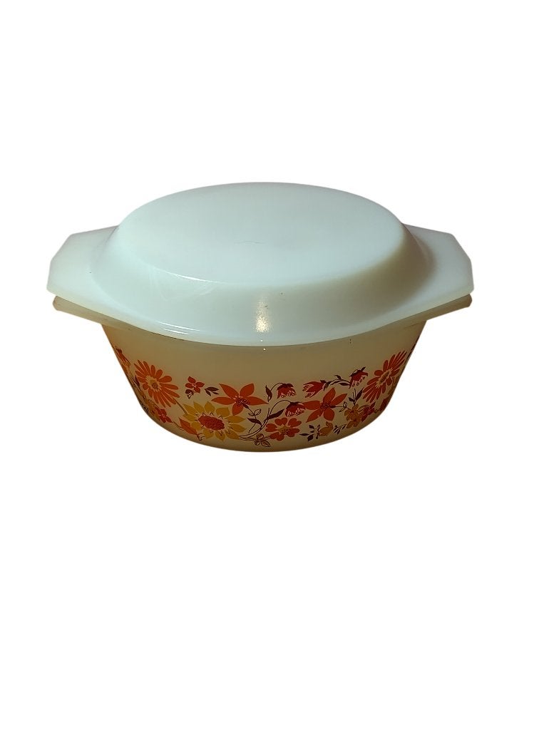 Cocotte Arcopal Scania vintage année 70, Enlèvement