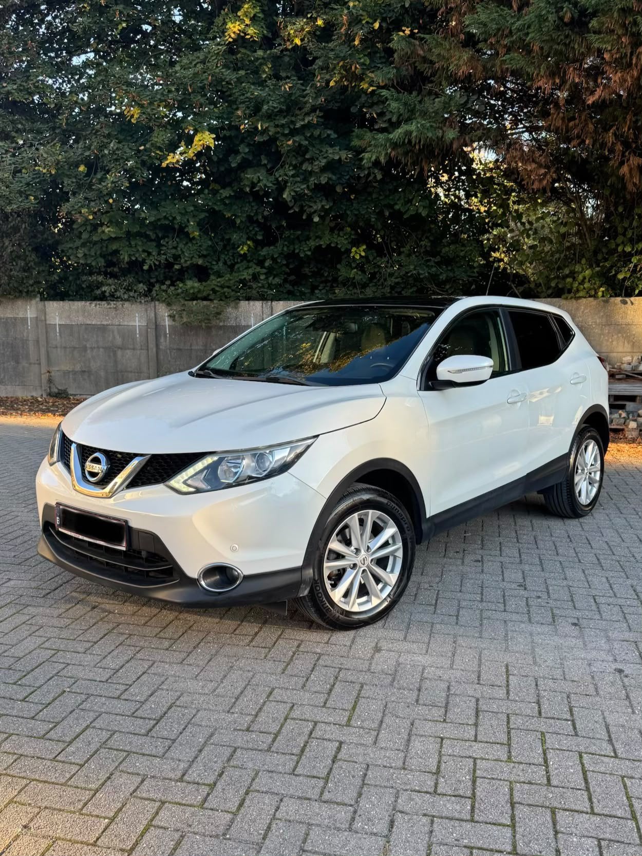 Nissan Qashqai, Autos, Euro 5, Achat, Particulier, Qashqai