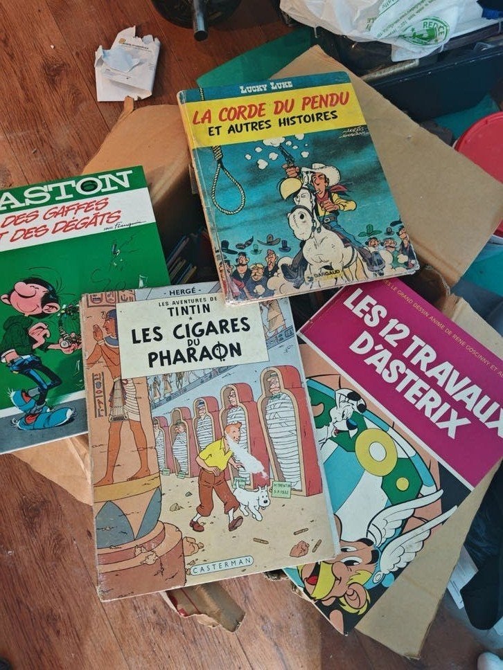 +50 Bandes Dessinées classiques (Tintin, Astérix, Lucyluck g, Enlèvement