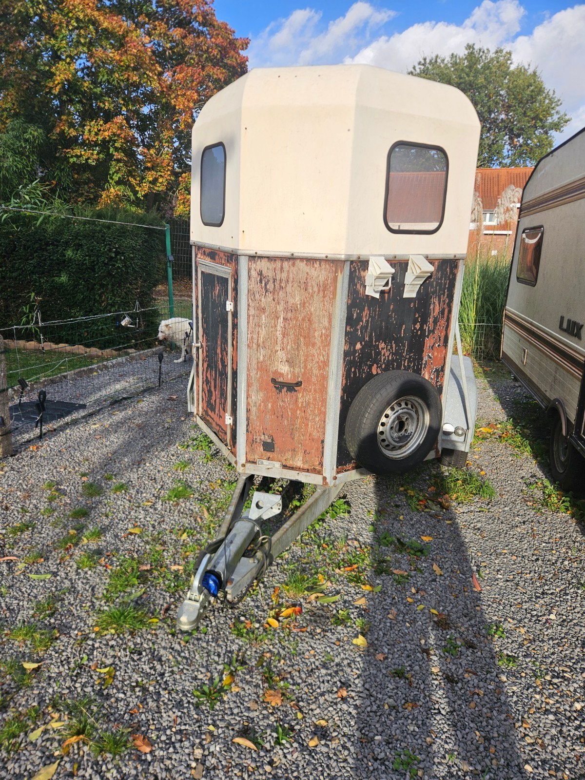 Paardentrail voor 2 paarden, Dieren en Toebehoren, Ophalen, Gebruikt, 2-paards trailer
