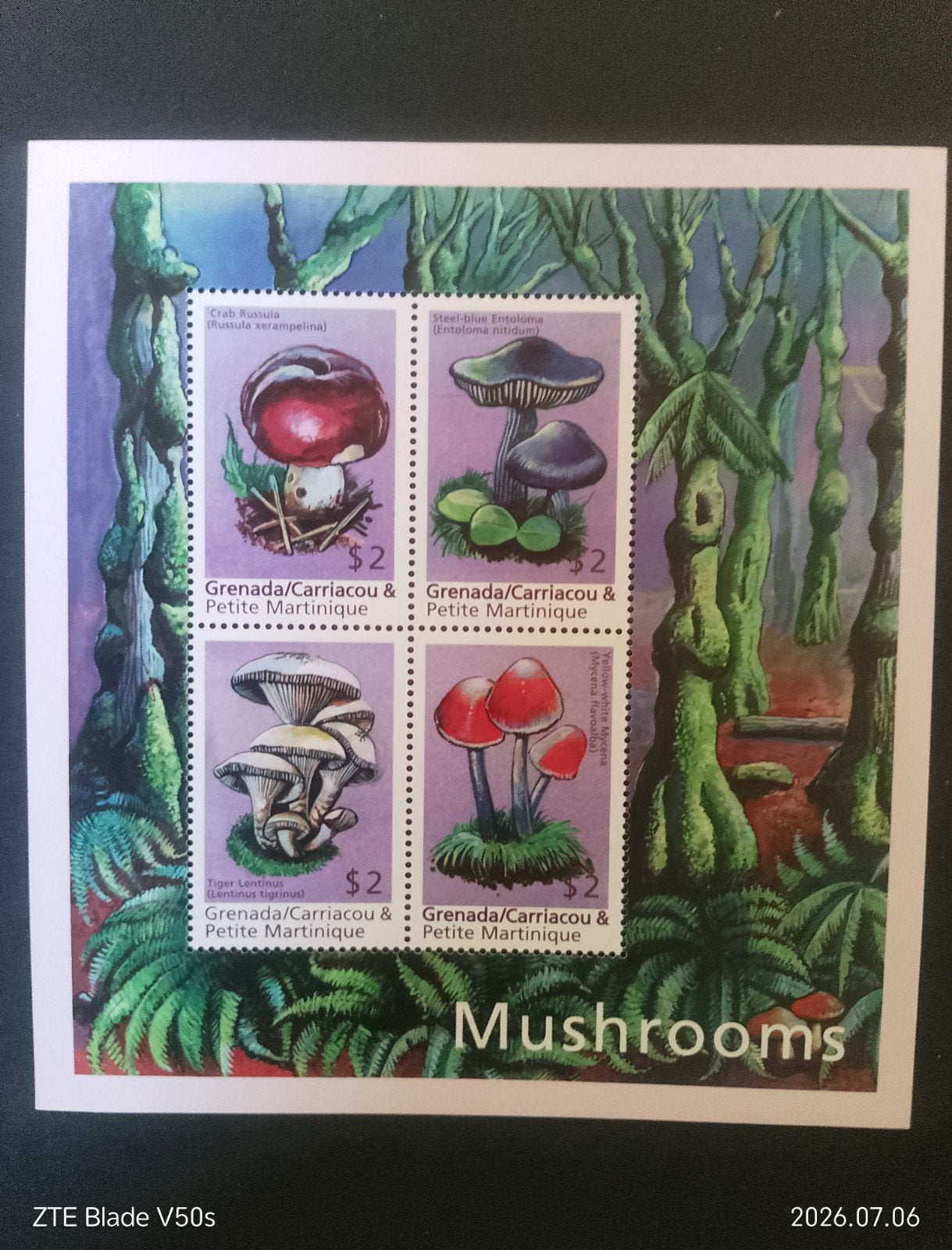 Timbres Postfrisch Histoire champignons, Enlèvement ou Envoi