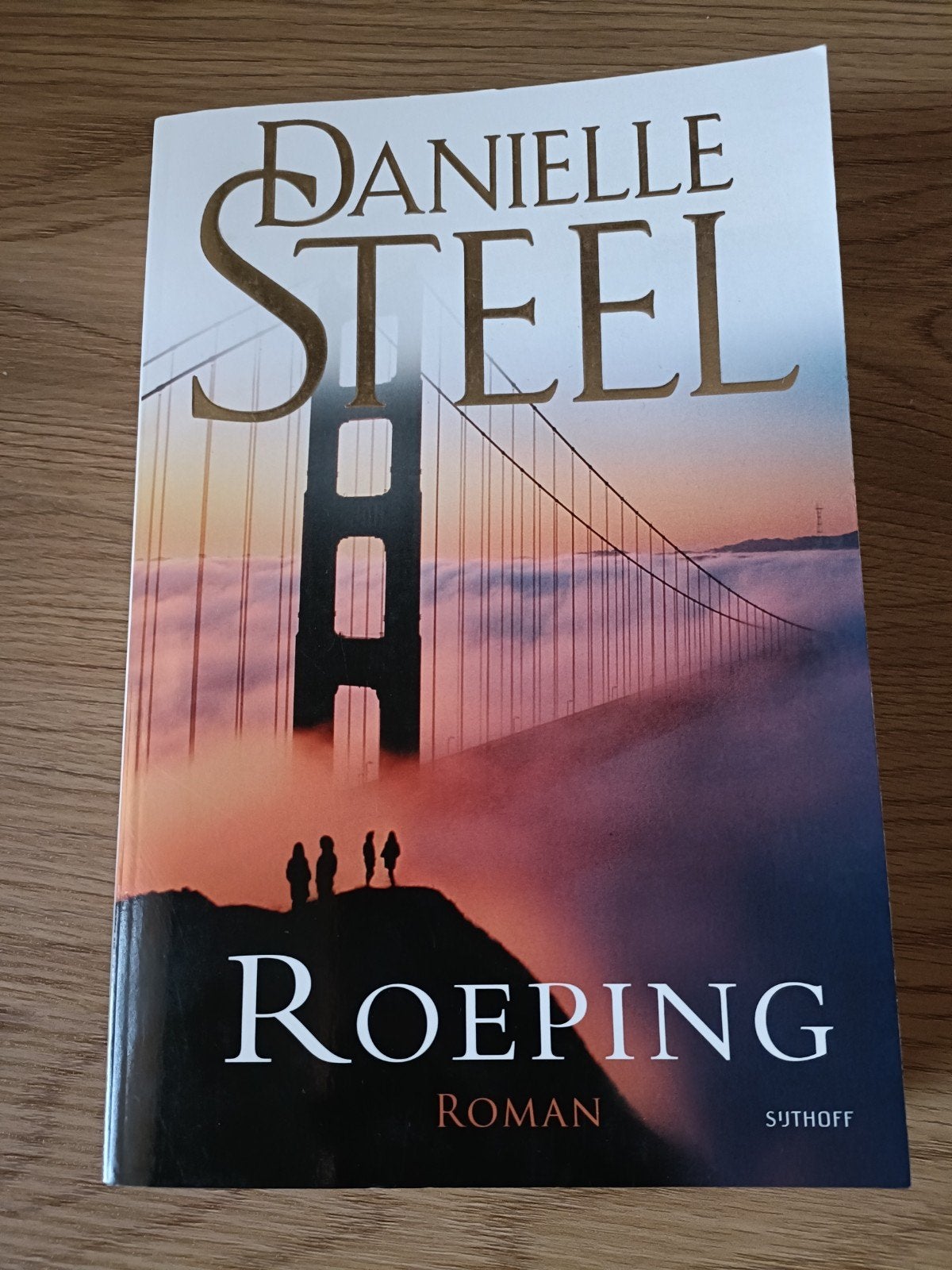 Danielle Steel - Calling, Livres, Enlèvement ou Envoi, Danielle Steel, Belgique, Comme neuf