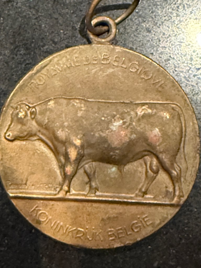 Médaille agricole belge en bronze du ministère 1963, Enlèvement ou Envoi, Bronze
