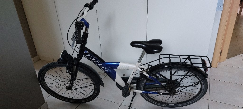 Jongensfiets 24 inch, Ophalen, Alpina, Versnellingen, Schijfrem