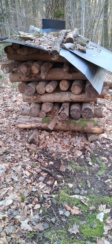 bois de chauffage, cheminée, bois, bois de chauffage, 6 m³ ou plus, Enlèvement, Autres essences de bois, Troncs d'arbres