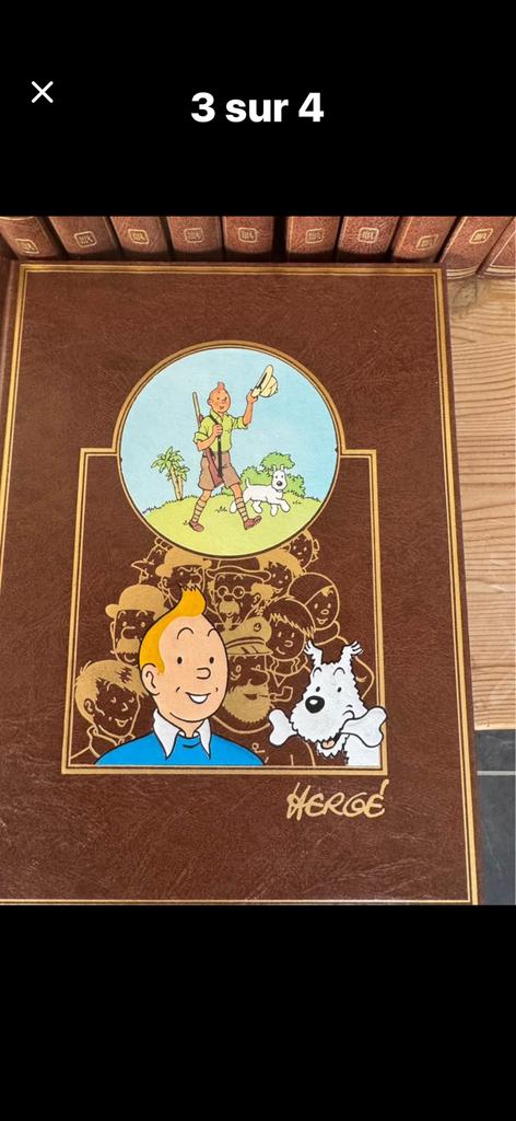 Tintin, Collections, Enlèvement