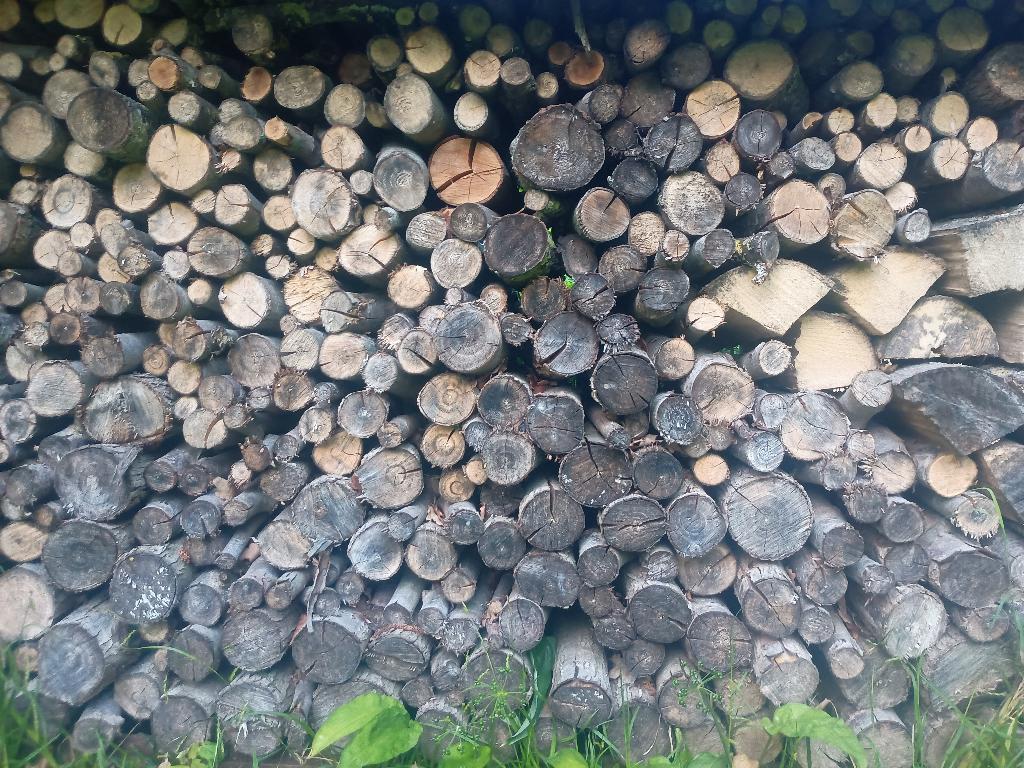 bois de chauffage, 6 m³ ou plus, Enlèvement ou Envoi, Autres essences de bois, Bûches