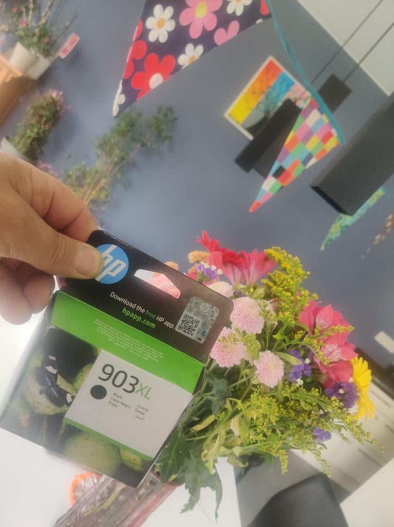 HP 903 XL inkt cartridge + GRATIS printer officejet Pro 6970, Wi-Fi intégré, Enlèvement ou Envoi, Copier, All-in-one