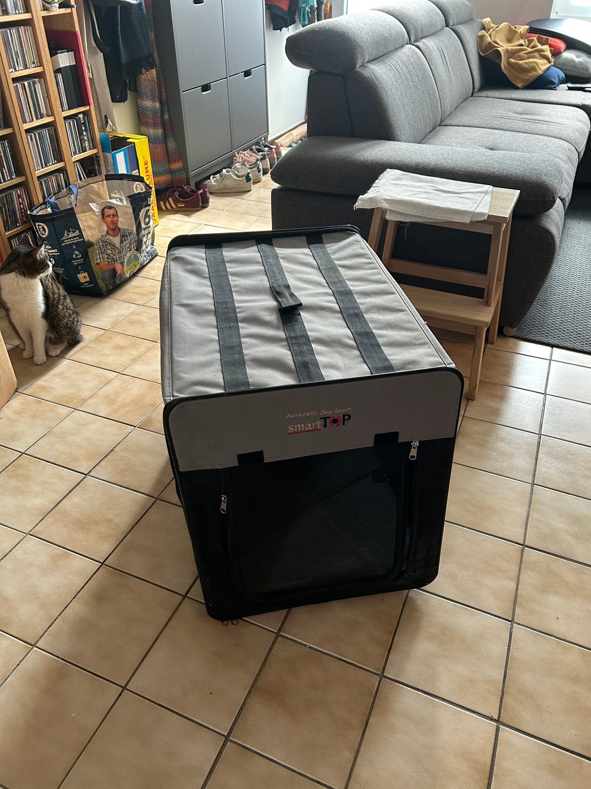Cage de transport pour chien ou chat, Animaux & Accessoires, Enlèvement, Comme neuf
