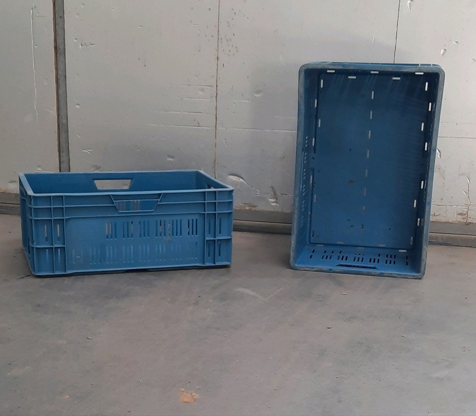 blauwe kisten, Zakelijke goederen, Landbouw | Aardappelen, Groenten, Fruit en Vlees, Ophalen