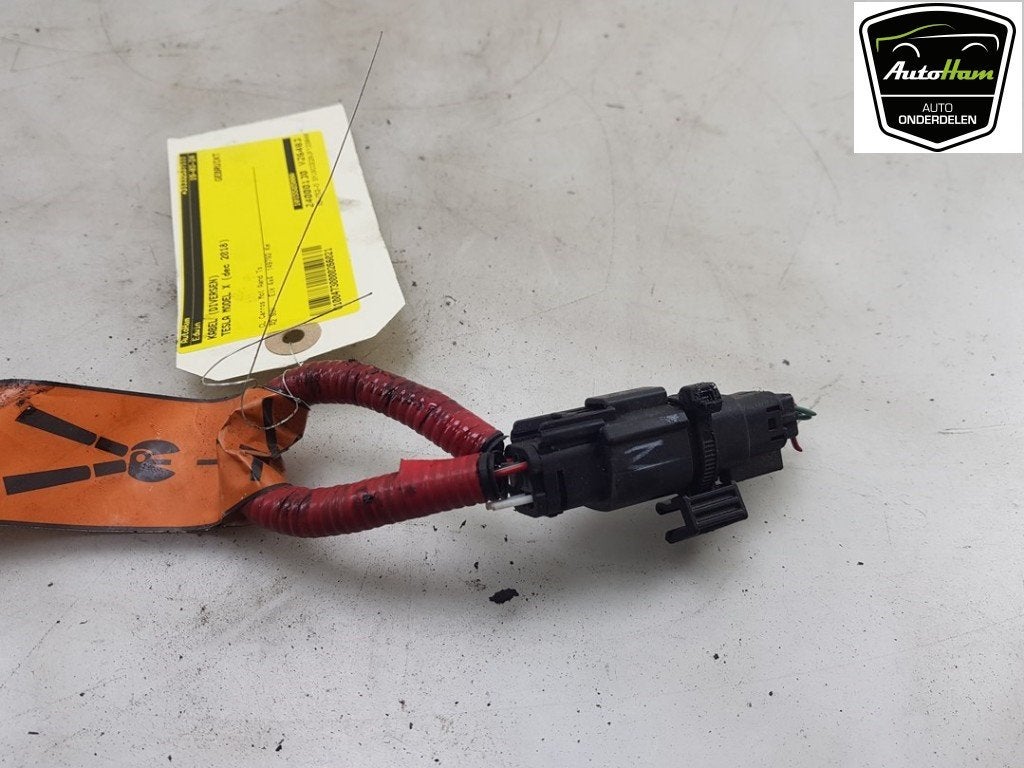CABLE Tesla Model X (01-2013/-) (|101558500A|), Dhr. J. Ham, Administratie@autoham.nl, Utilisé, Autres marques automobiles