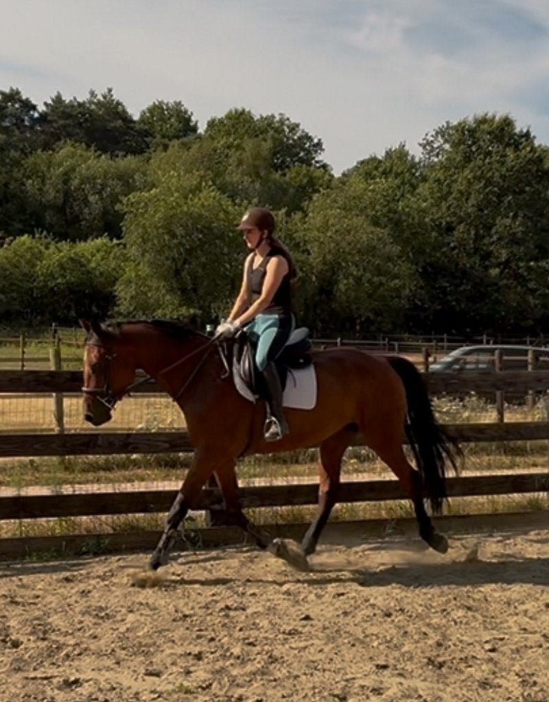 6 jarige merrie, Dieren en Toebehoren, Paarden, Merrie, Springpaard, 3 tot 6 jaar, 165 tot 170 cm