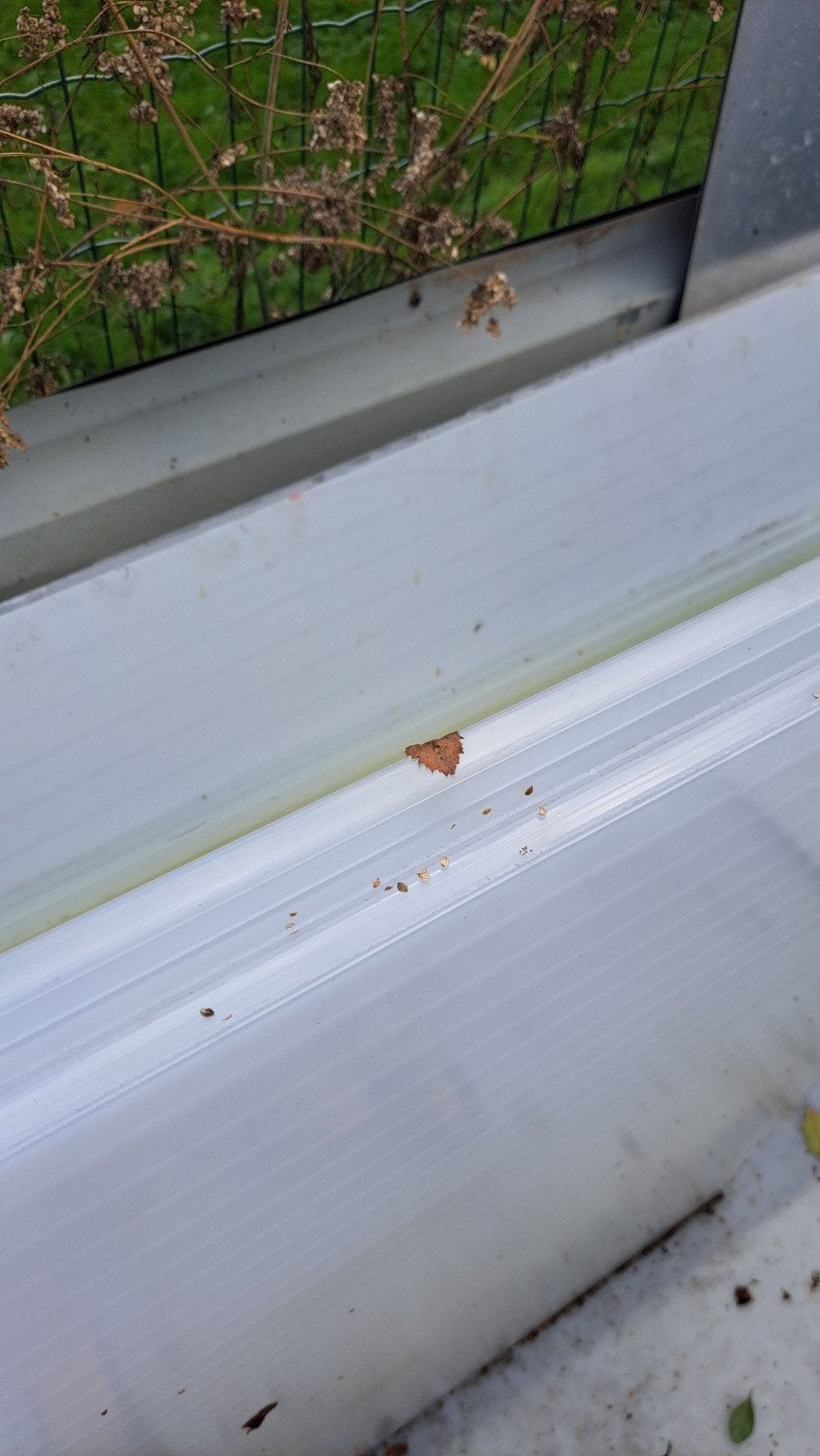 polycarbonate verandaplaten, Enlèvement