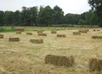 Hooi rechtstreeks van het veld, Ophalen