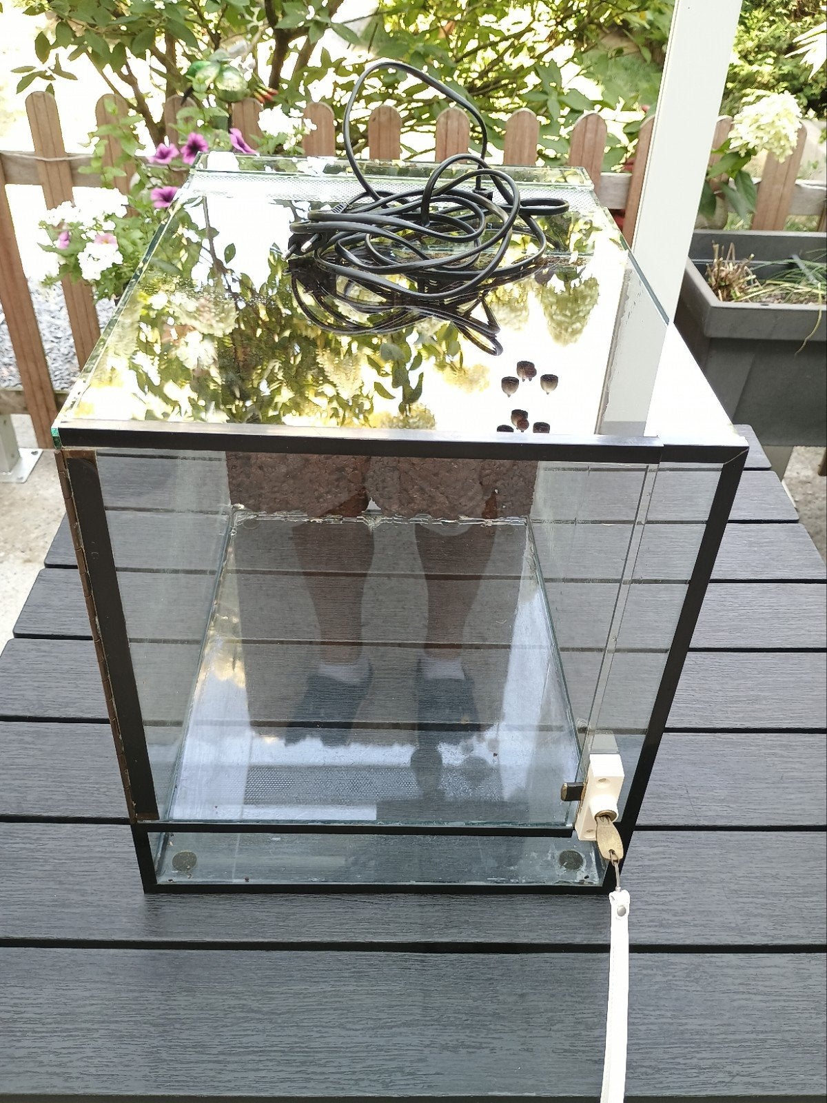 Magnifique terrarium, Enlèvement, Utilisé, Terrarium ou Paludarium