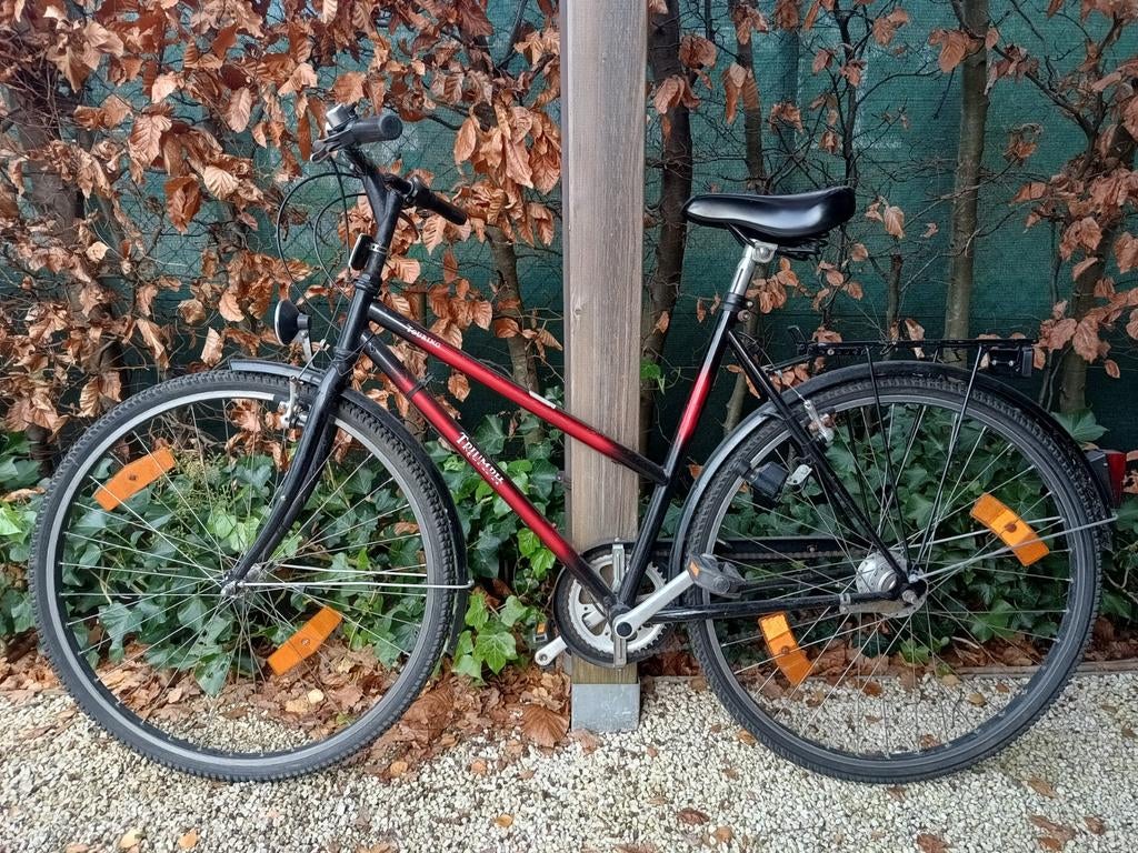 Fiets (man) Triumph, Fietsen en Brommers, Ophalen, Gebruikt, Minder dan 10 versnellingen, Overige merken
