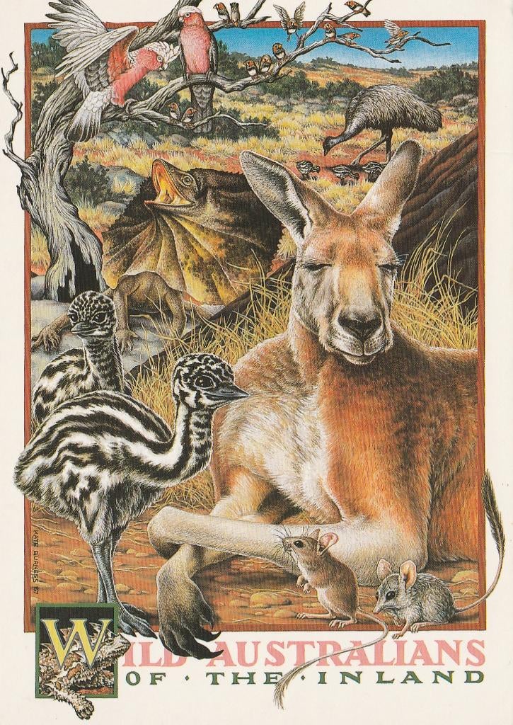 WILDE  DIEREN  UIT  AUSTRALIE, Verzamelen, Postkaarten | Dieren, Verzenden, 1980 tot heden, Gelopen, Overige soorten
