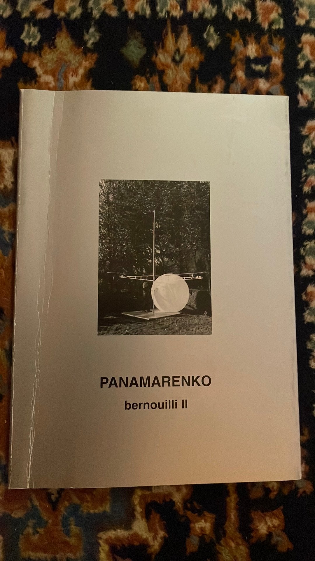 Panamarenko boek bernouilli II met handtekening, Ophalen of Verzenden, Gelezen