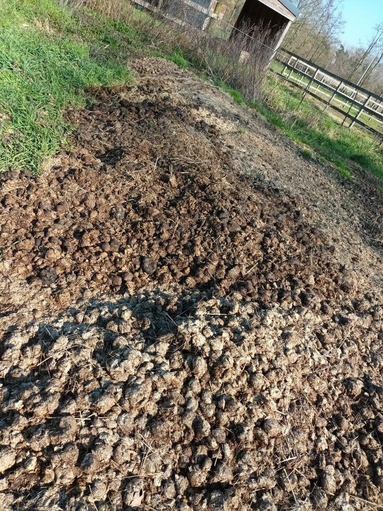 Gratis paardenmest, Enlèvement