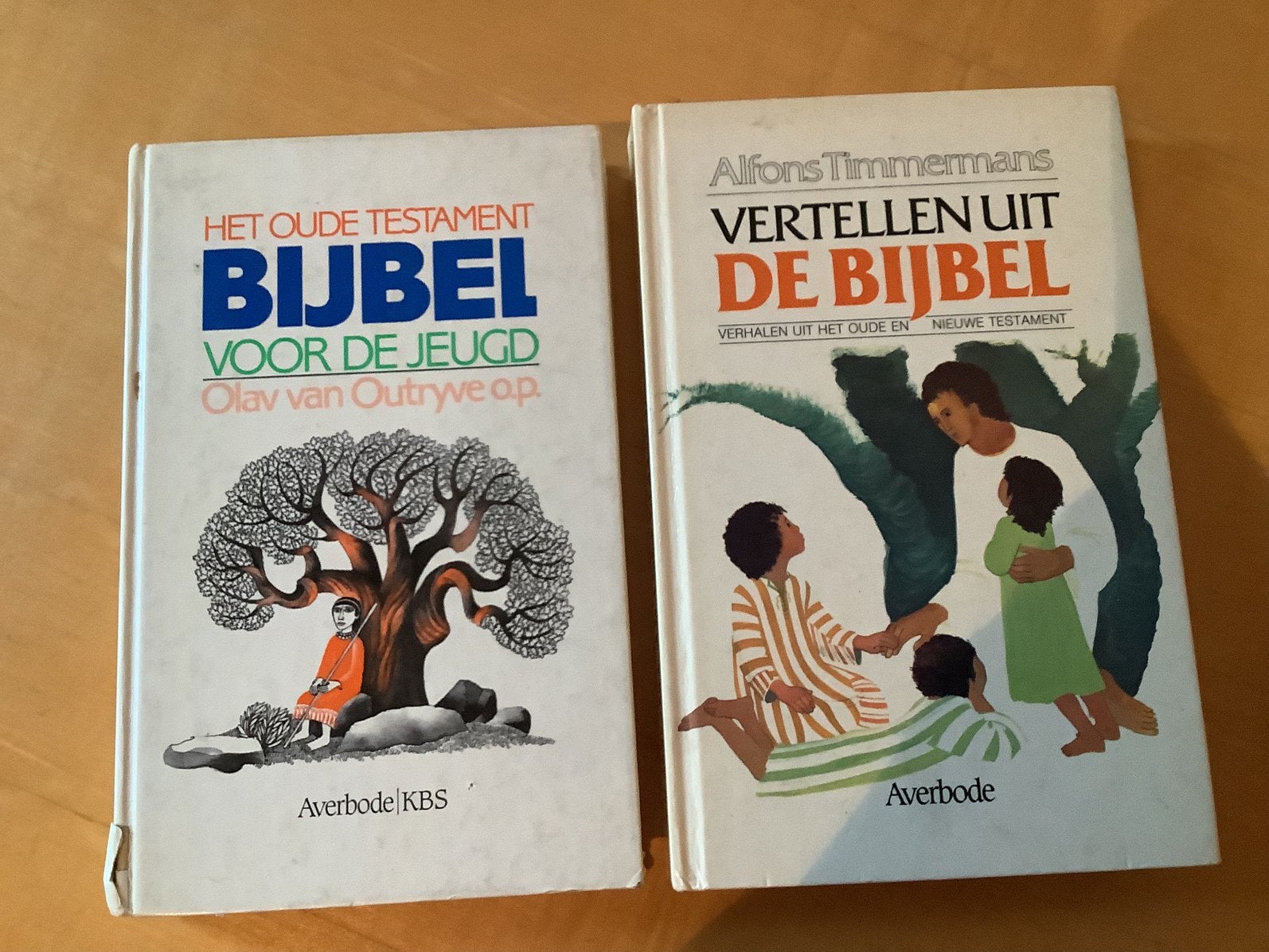2 Bijbels, Ophalen of Verzenden, Zo goed als nieuw