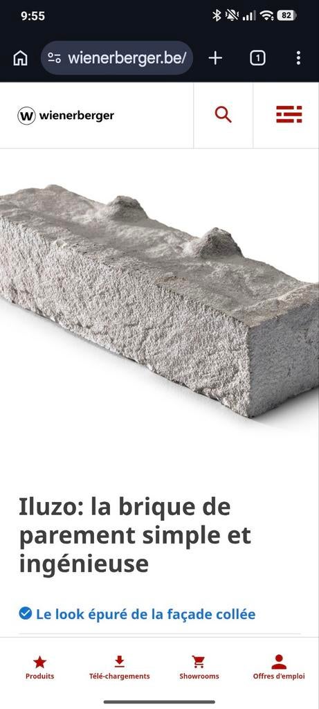 Brique iluzo blanche, Enlèvement