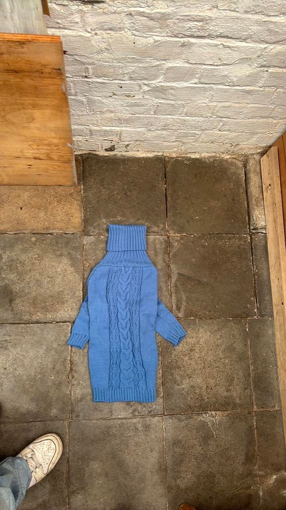 Honden trui, Dieren en Toebehoren, Hondenkleding, Ophalen, Nieuw, Hondentrui