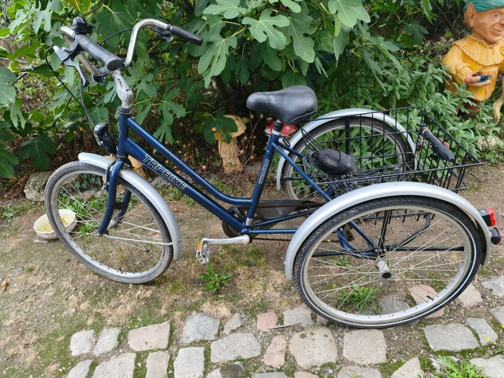 Driewieler, Fietsen en Brommers, Fietsen | Driewielfietsen, Ophalen, Gebruikt, Terugtraprem