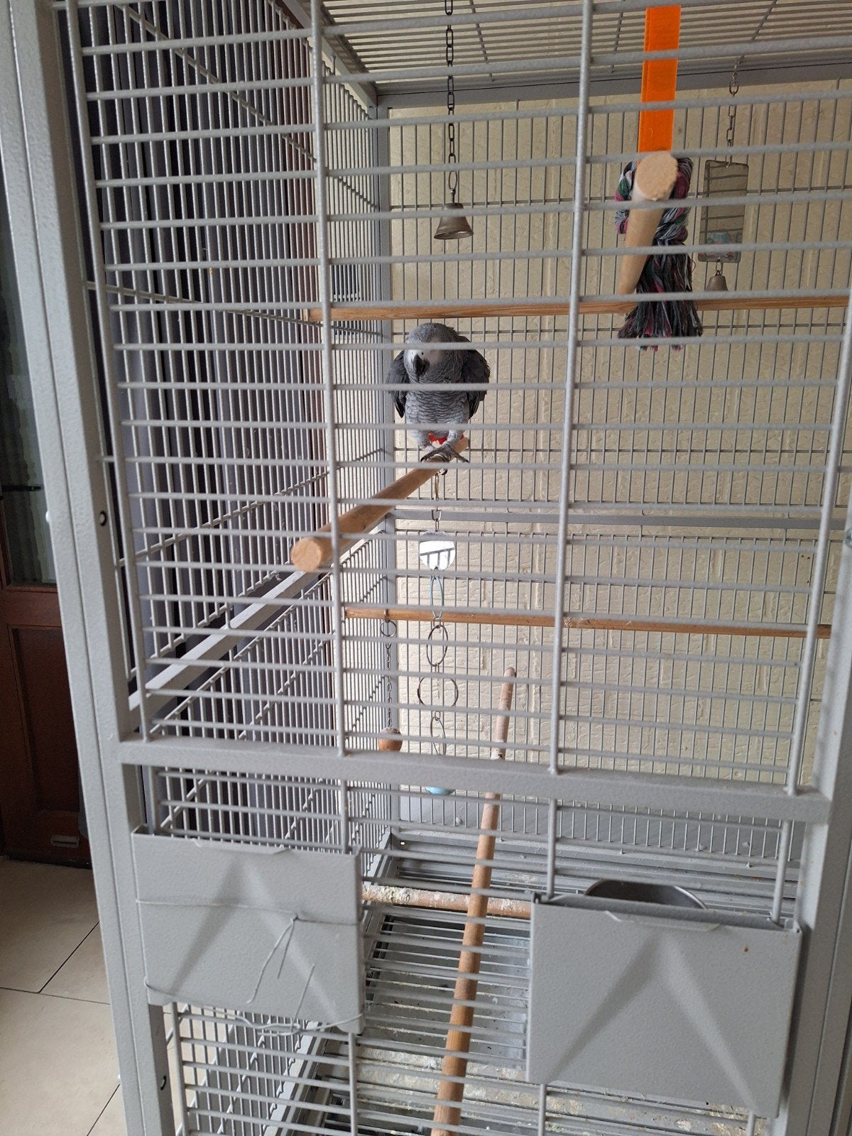 grote papagaai kooi als nieuw  met papagaai, Dieren en Toebehoren, Ophalen of Verzenden