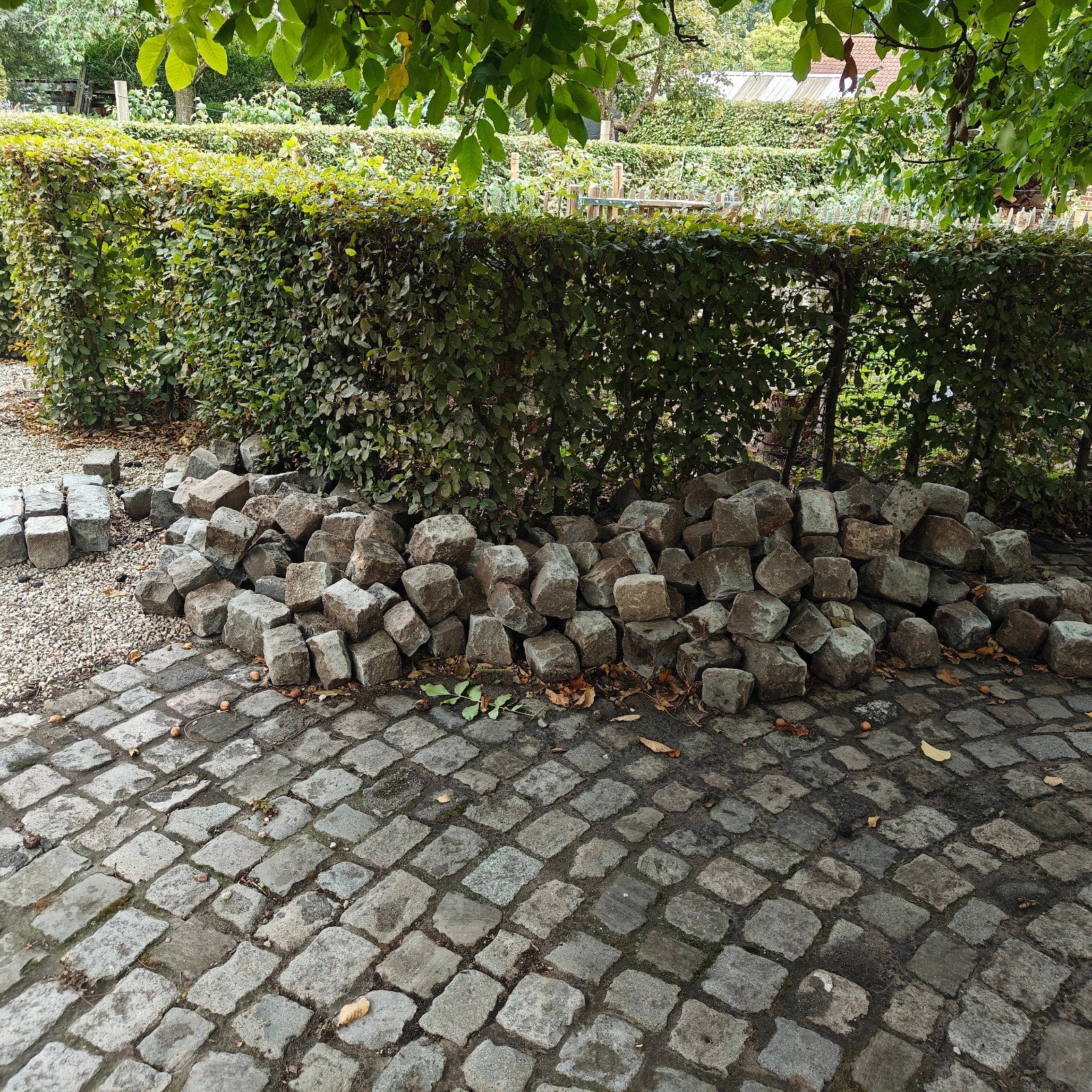 Mooie partij Belgisch Porfier kasseien – ca. 5 m² (reeds uit, Tuin en Terras, Ophalen, Gebruikt, Grijs, Kei