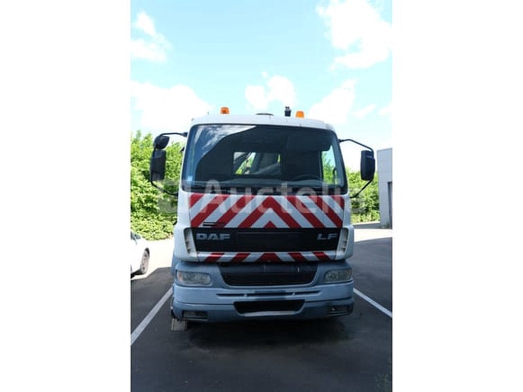 Containerwagen met kraan DAF LF 55.220, Overige brandstoffen, Bedrijf, DAF, Te koop
