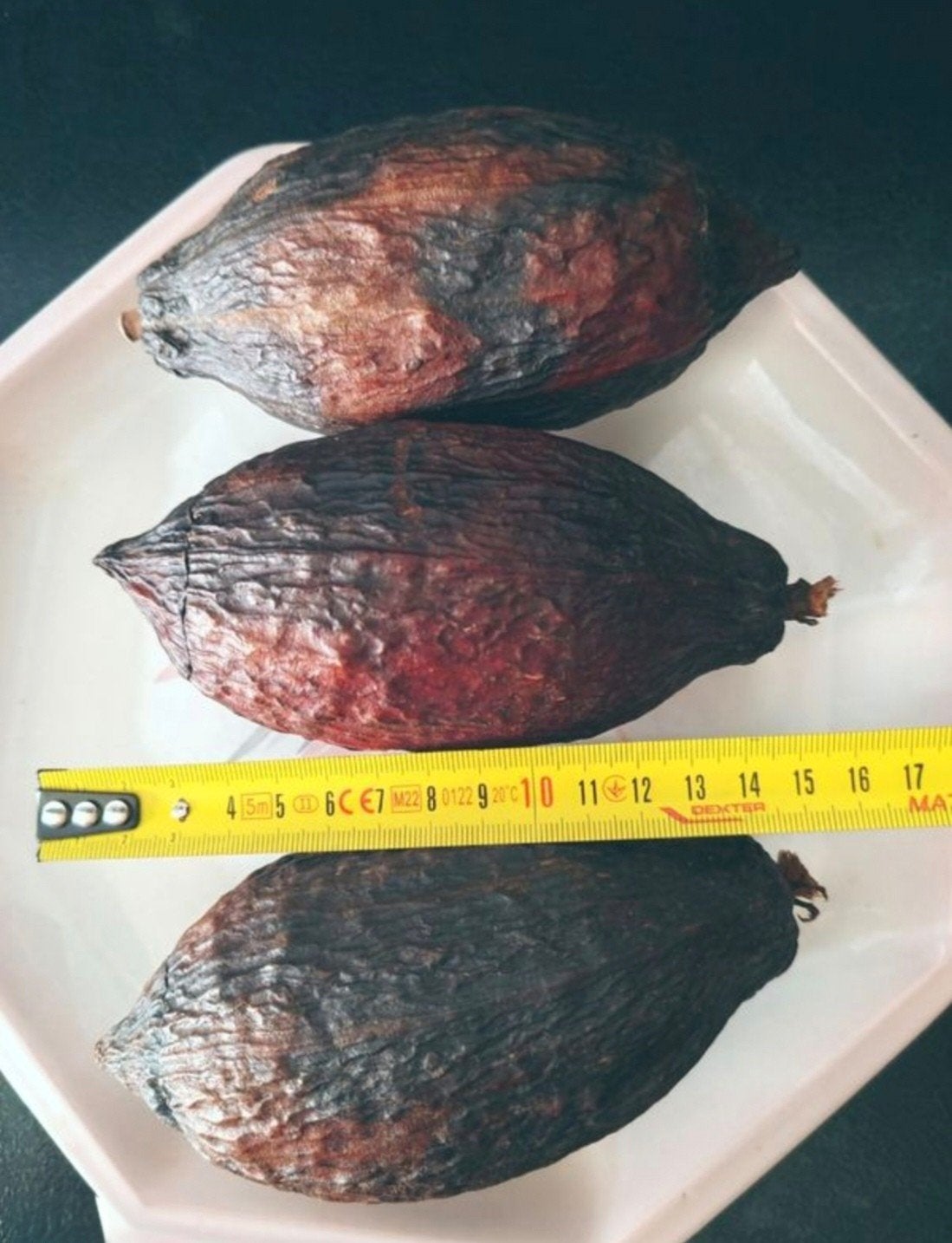 Lot De 3 cabosses de cacao pour décoration, Enlèvement ou Envoi