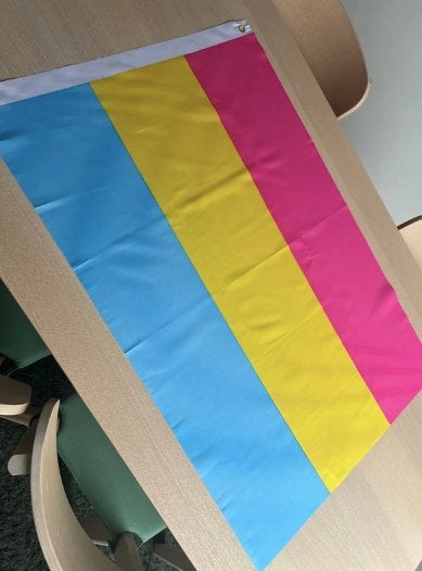 Pansexual Pride vlag 60x90cm, Verzamelen, Verzenden, Nieuw
