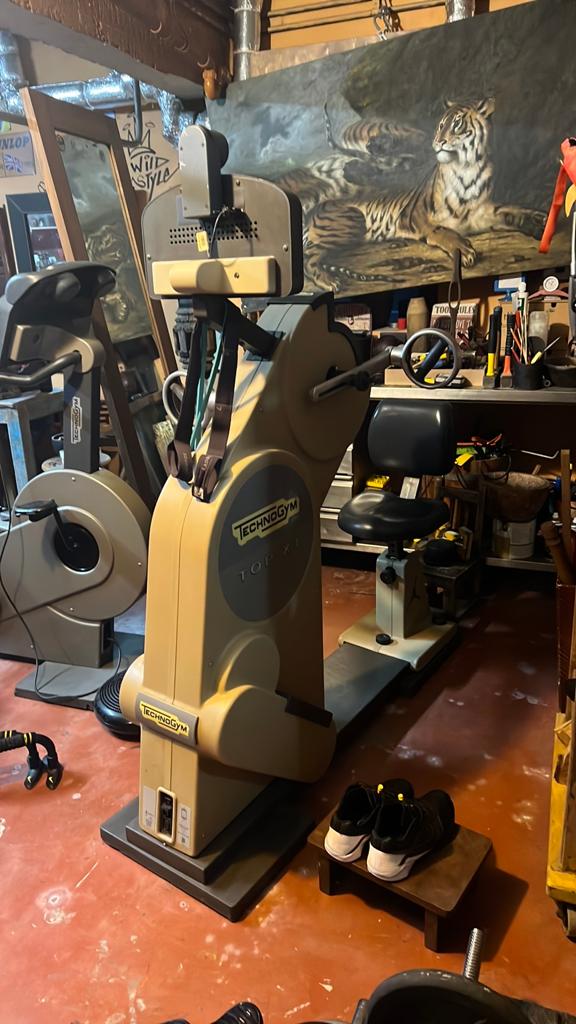 Musculation Pédalier à bras technogym, Enlèvement, Comme neuf, Bras