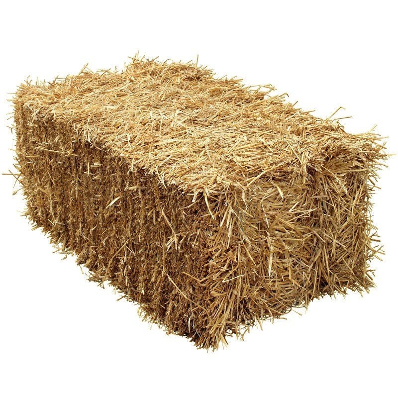 Paille à ramasser gratuitement, Jardin & Terrasse, Enlèvement, Autres types