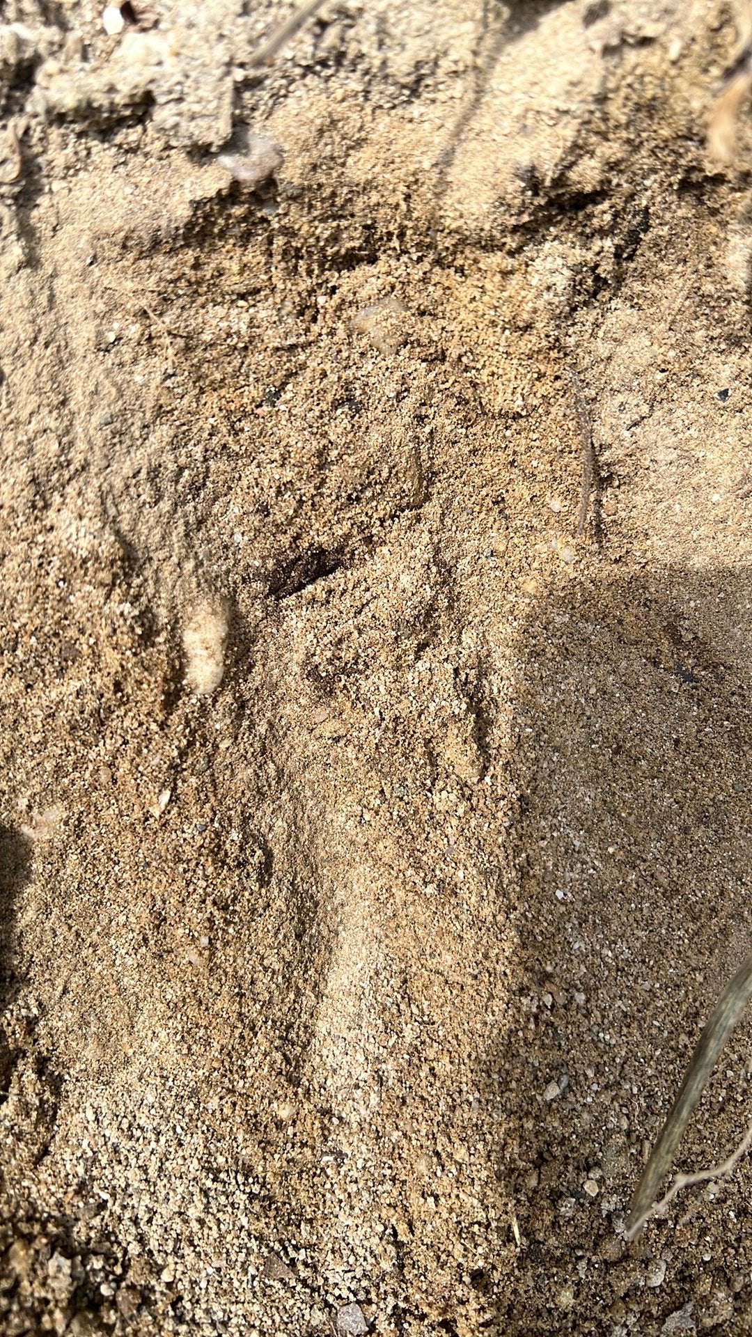 Gratis gele zand af te halen, Tuin en Terras, Ophalen, Zo goed als nieuw