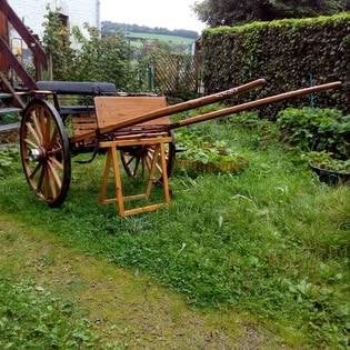 Voiture attelage, Comme neuf, Autres types, Poney