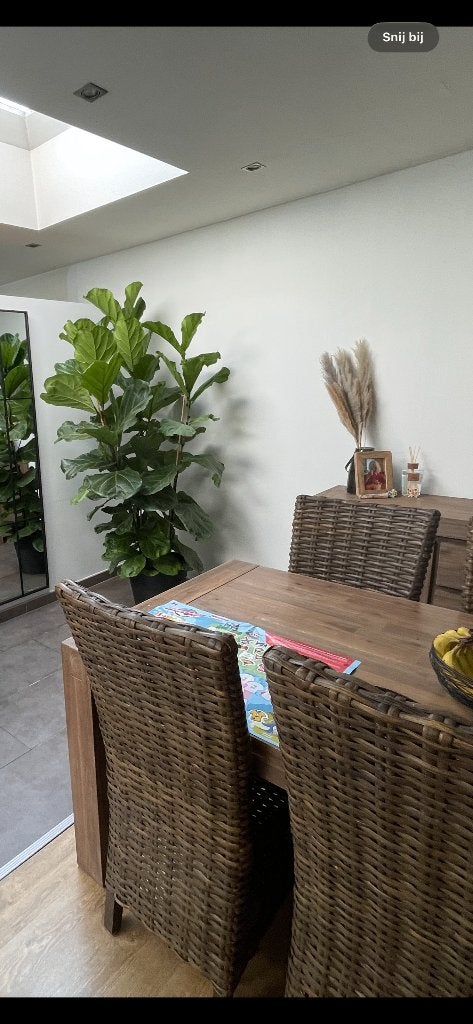 Eetstoelen, Huis en Inrichting, Ophalen, Gebruikt, Bruin, Riet of Rotan