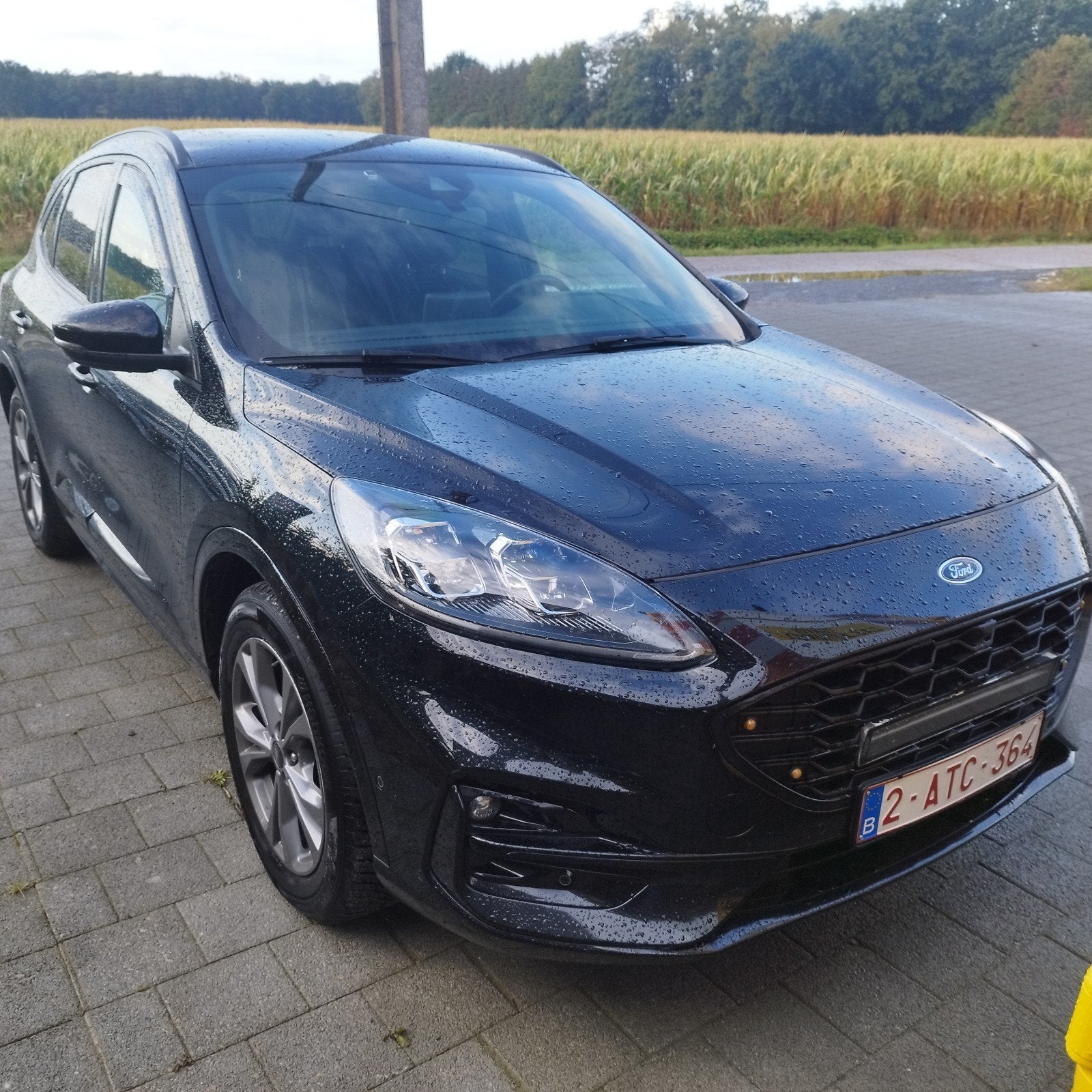 Ford Kuga ST Line 1.5tdci, Cuir et Alcantara, Achat, Euro 6, Entreprise