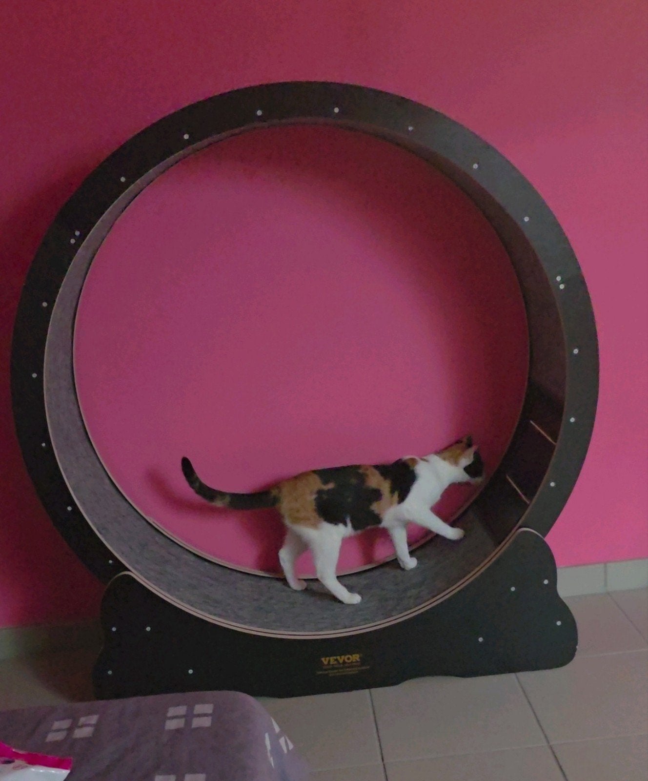 vevor kattenwiel XXL, Enlèvement, Utilisé