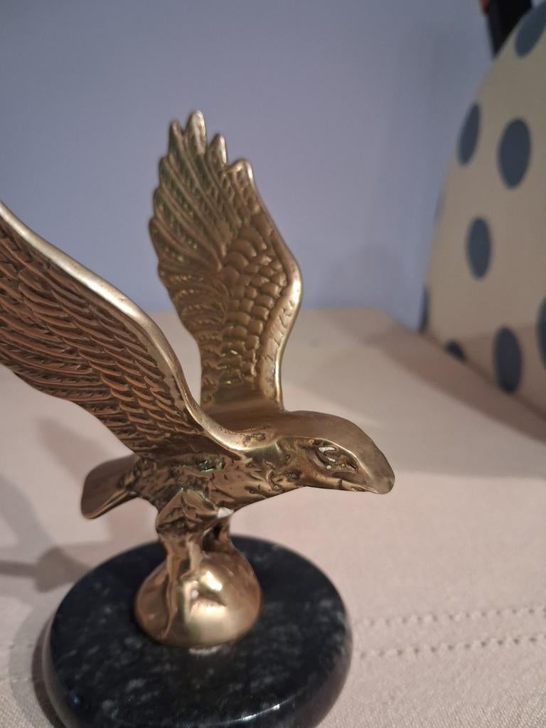 Aigle