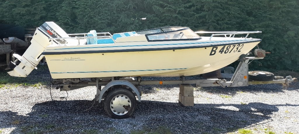 Bateau à moteur  50 CV Johnson + remorque, Essence, Remorque, Utilisé, Bateau rapide