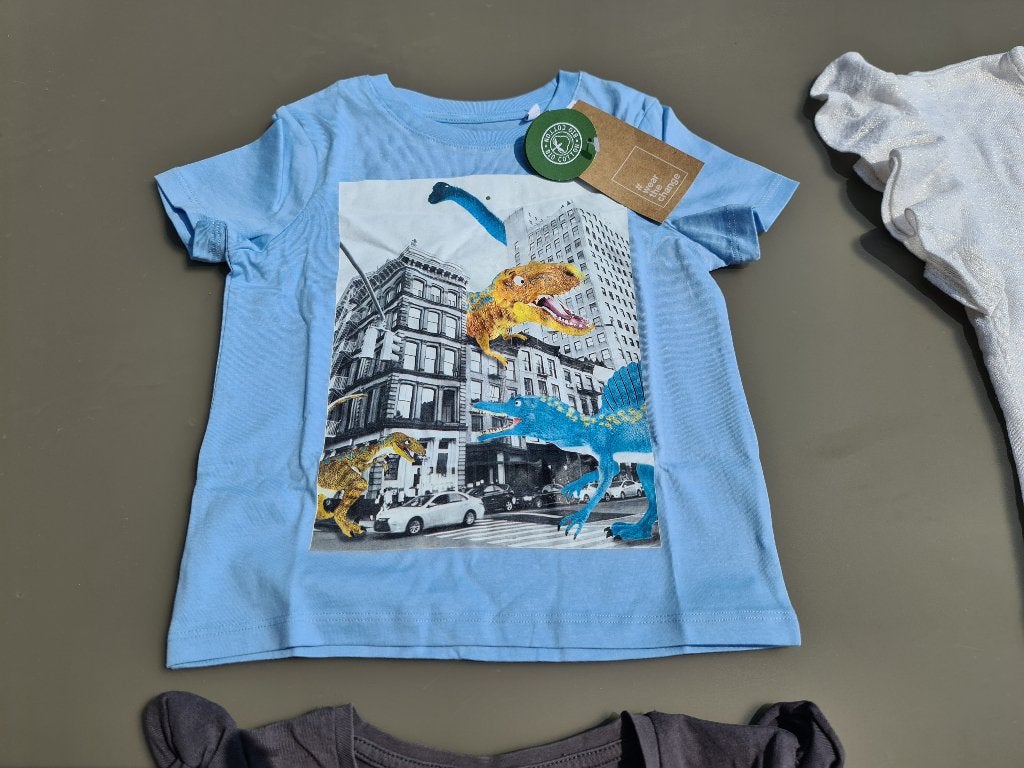 blauw t-shirt met dino's, CA, 104 NIEUW, Kinderen en Baby's, Ophalen, Zo goed als nieuw