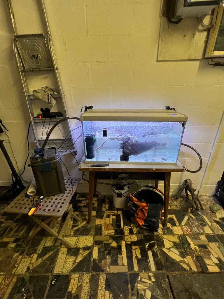Aquarium 80cm met buiten filter, Ophalen, Filter, Oase