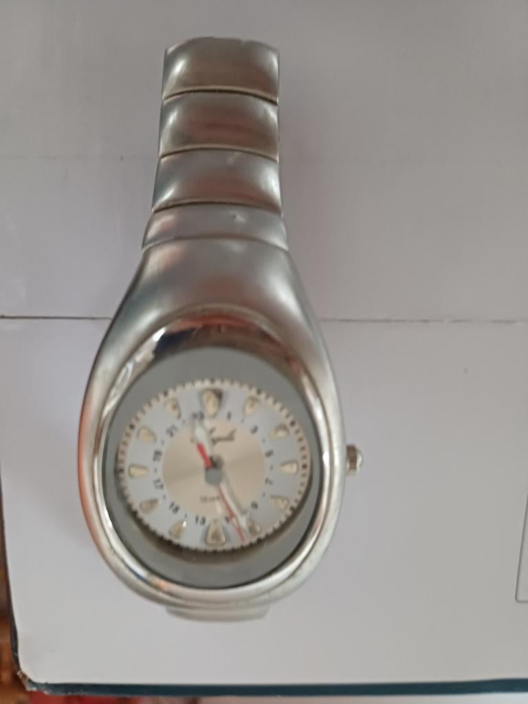 Swiss Hunter Watch, Ophalen, Staal, Staal