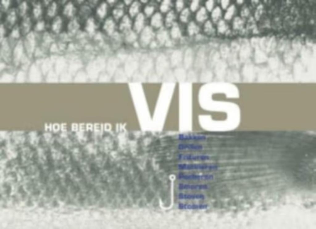 Hoe bereid ik vis / uitgave VLAM, Ophalen of Verzenden, Zo goed als nieuw