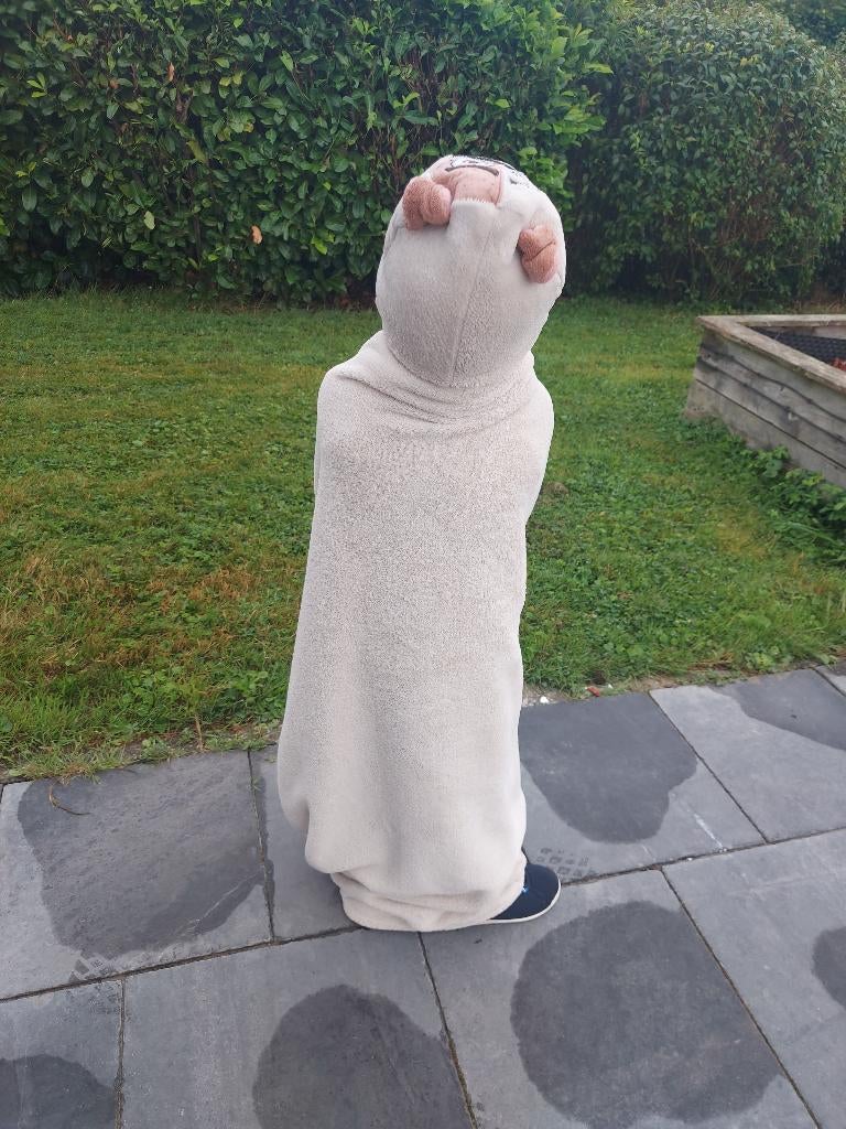 Pets Illumination badjas voor kinderen, Ophalen of Verzenden, Zo goed als nieuw, Badponcho