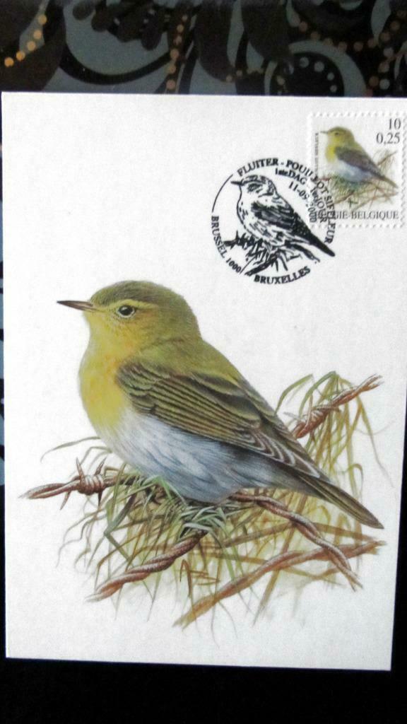 FIRST DAY OP KAART- VOGELS VAN BUZIN- DE FLUITER, Ophalen of Verzenden, Gestempeld, Dier of Natuur