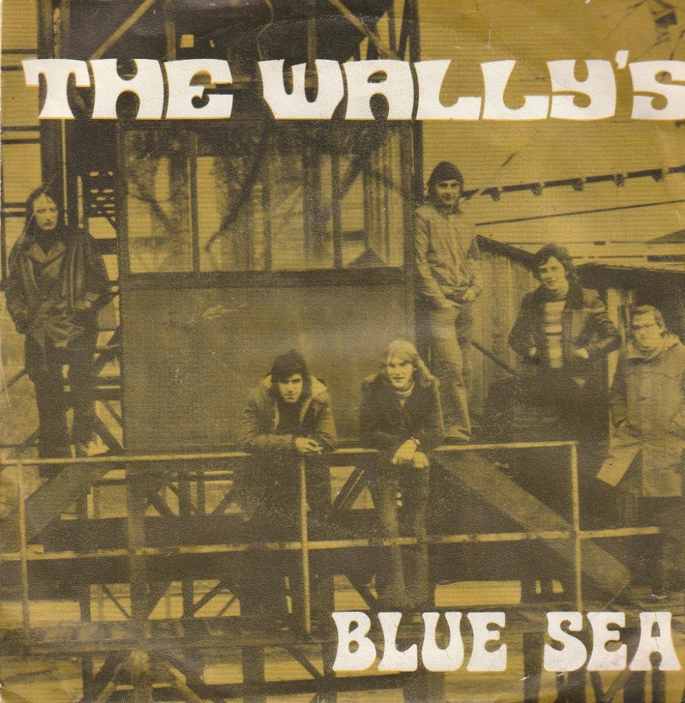 the wally's blue sea - come back groupe belge, Enlèvement ou Envoi, Utilisé, Autres formats, Progressif