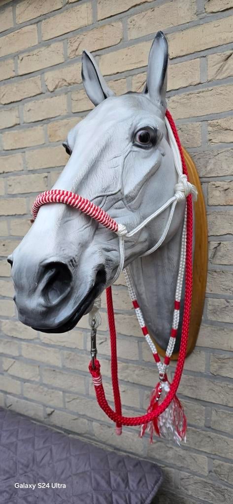 3 delige set wit/rood maat cob, Dieren en Toebehoren, Ophalen, Nieuw