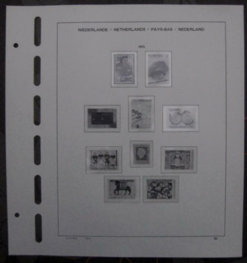 Schaubek pre-printed pagina's Nederland, Ophalen of Verzenden